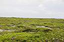 Anegada terrain, northwest part of island.
