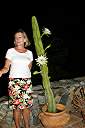 Night blooming cactus at Carolyn Chaney's house.  What is Carolyn doing up at 1:00AM???