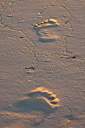 Sunset footprints