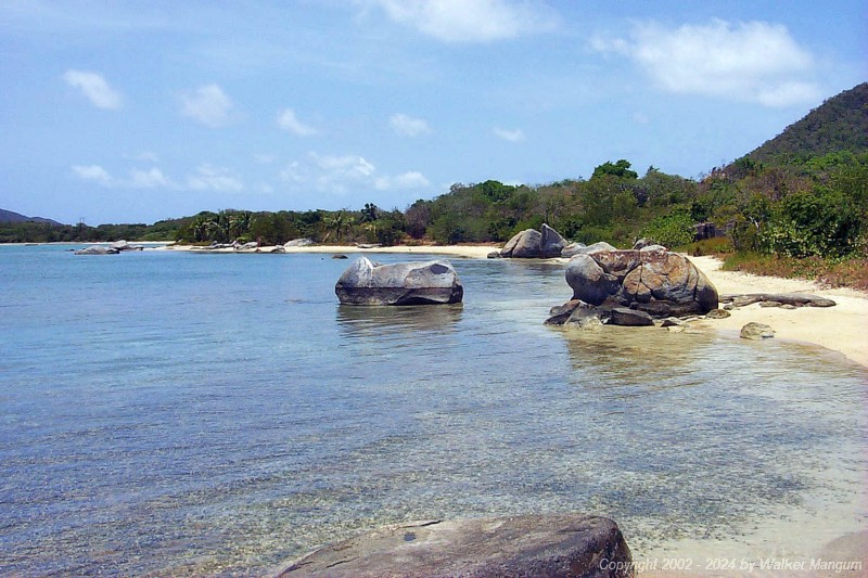View looking northeast on the Trellis Bay beach.