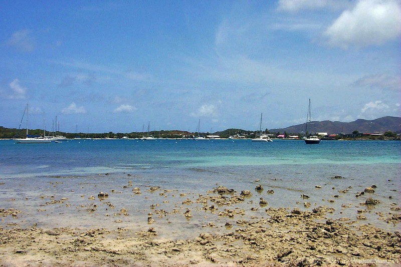Another view of Trellis Bay from the Beef Island shoreline.