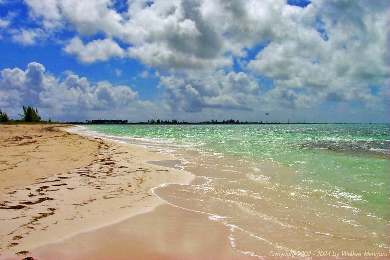 The view looking east from the tip of Pomato Point on Anegada. The boats in the hotel anchorage are visible in the distance. The shoreline tree landmarks, from the left, are the Wheatley's house, Neptune's Treasure, Whistling Pines, and the Anegada Reef Hotel.