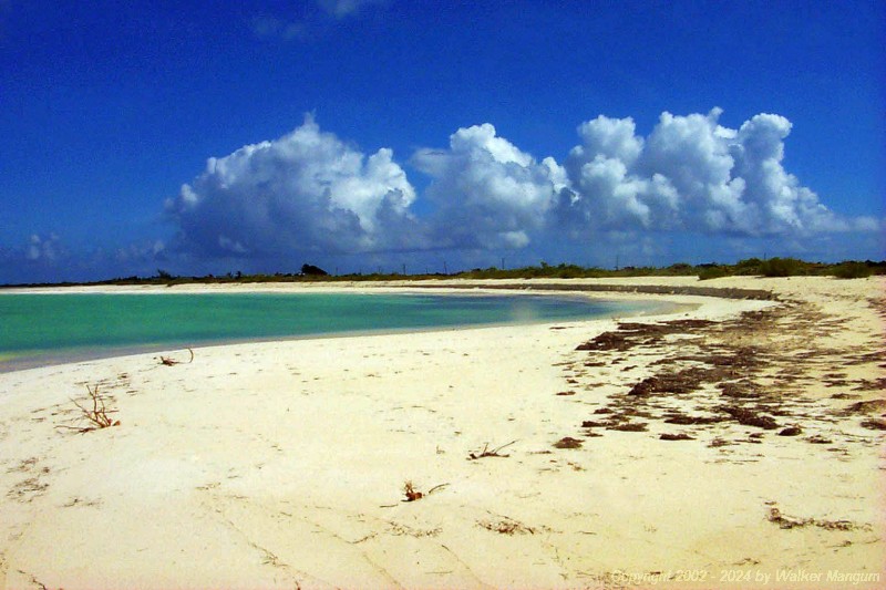 The view looking northwest from the tip of Pomato Point on Anegada.