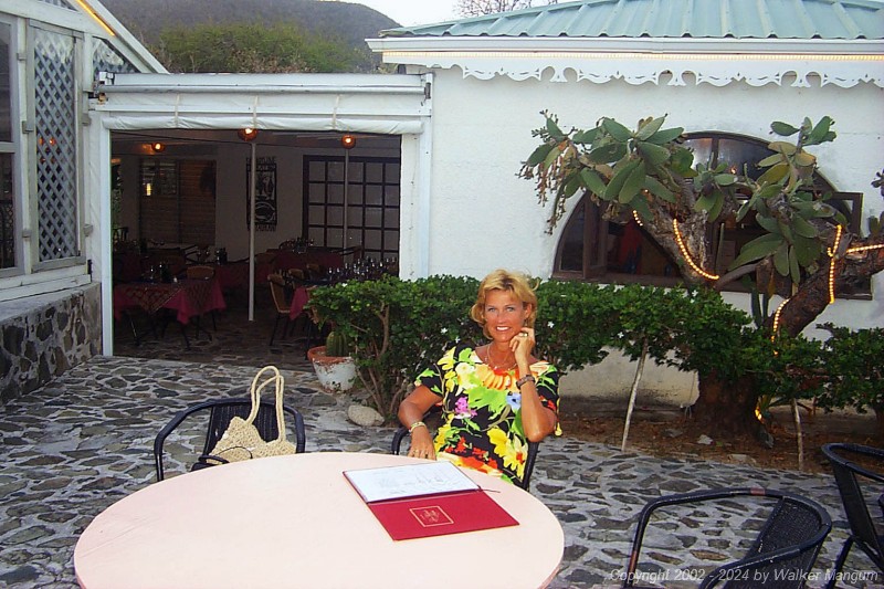 Our dinner on the last night of this trip to the BVI was at Brandywine Bay Restaurant. This is Nancy on the patio of the restaurant. In our opinion Brandywine Bay, in its beautiful and romantic setting with sweeping views of the Sir Francis Drake Channel islands, is the finest restaurant in the BVI. Owners Davide and Cele Pugliese are gracious hosts that provide a remarkable menu of wonderful Tuscan-styled food with a fine selection of wines.