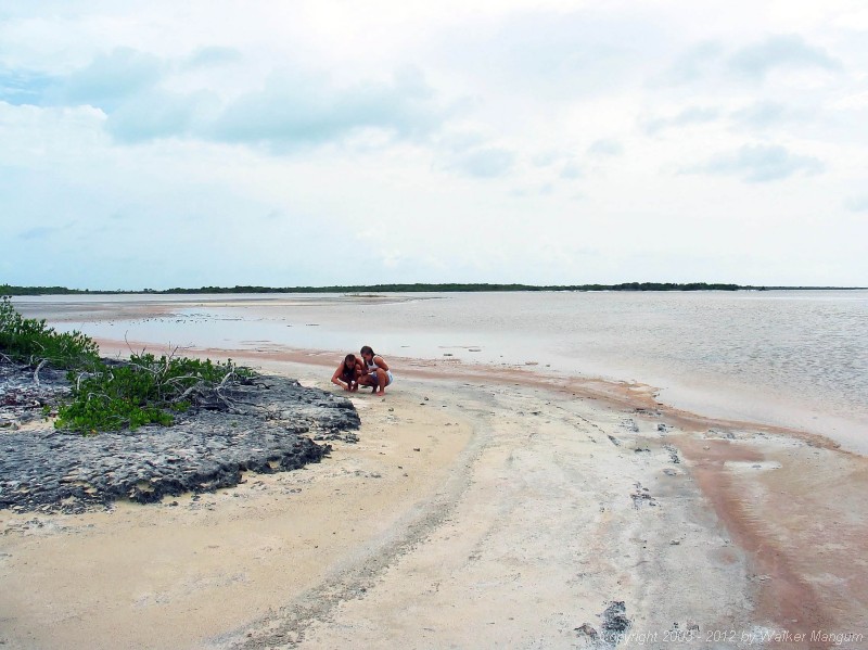 The salt ponds on Anegada