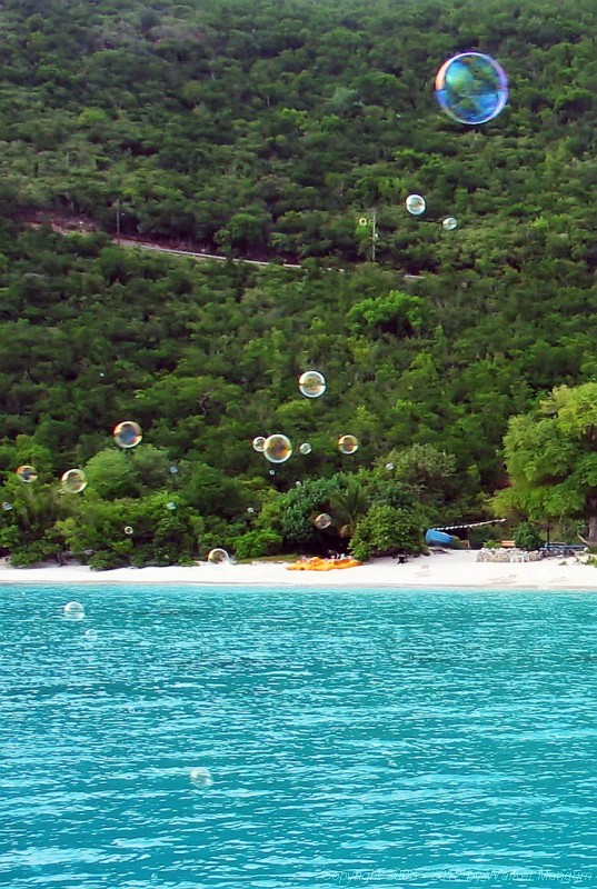 Bubbles at White Bay