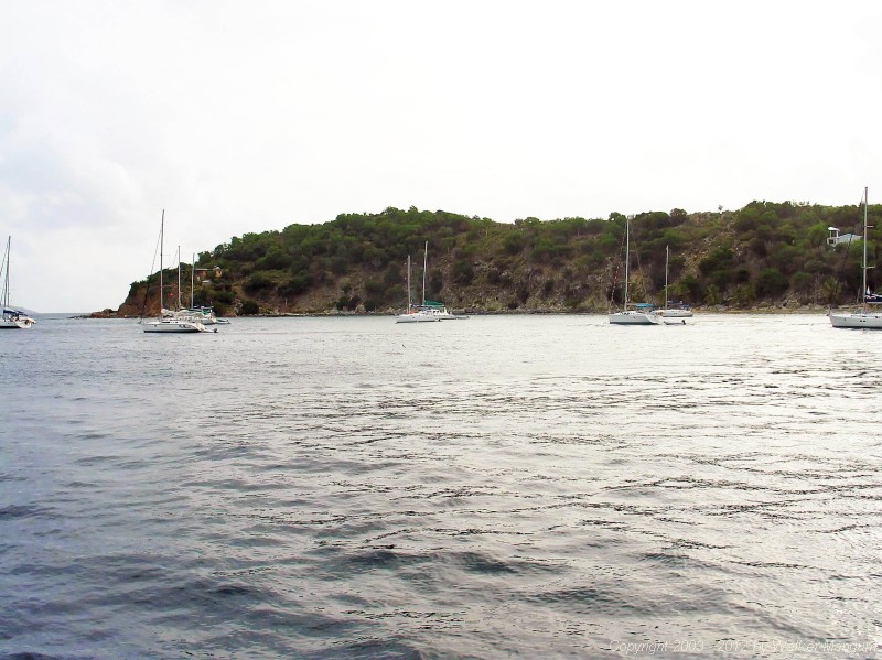 Panorama of Manchioneel Bay, Cooper Island