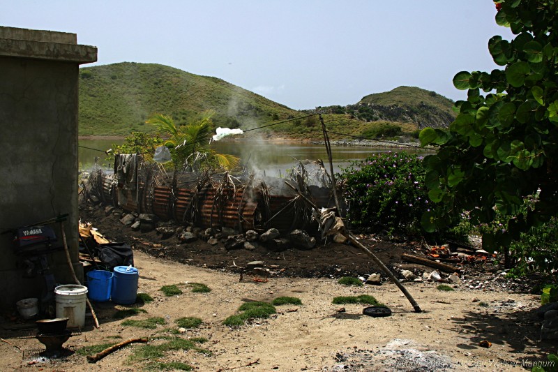 Charcoal pit on Salt Island.