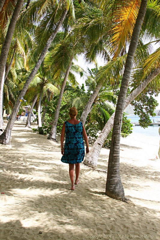 The palm-lined walkway on the beach at Manchioneel Bay.