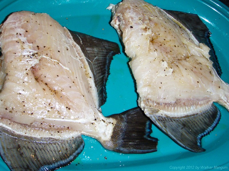 Olewife (triggerfish) ready for the grill.