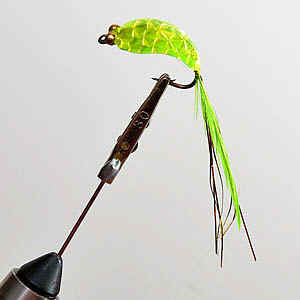 Chartreuse with peacock herl in tail