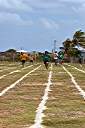 Spring Sports Day at Anegada's Claudia Creque Education Center.
Lakesha destroying the competition in her relay.