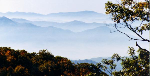 Smoky Mountain View