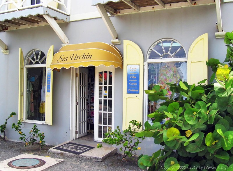 Beachfront Sea Urchin Shop
