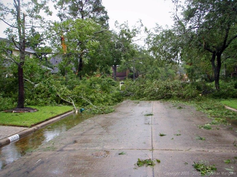 The street out front the morning after Ike.