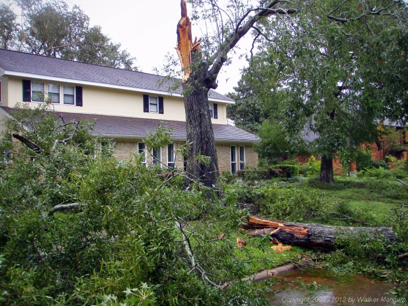 The neighbor's house the morning after Ike.