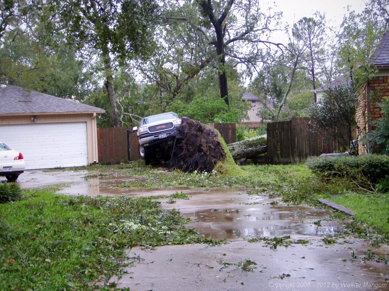 Another neighbor down the street. The uprooted tree has taken the truck into the air.