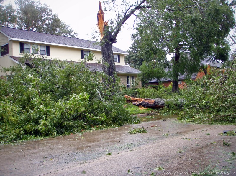 The street out front the morning after Ike.