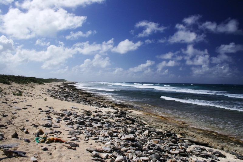 View from west end of Jack Bay, Anegada.