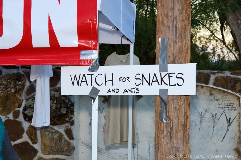 Watch for snakes and ants!